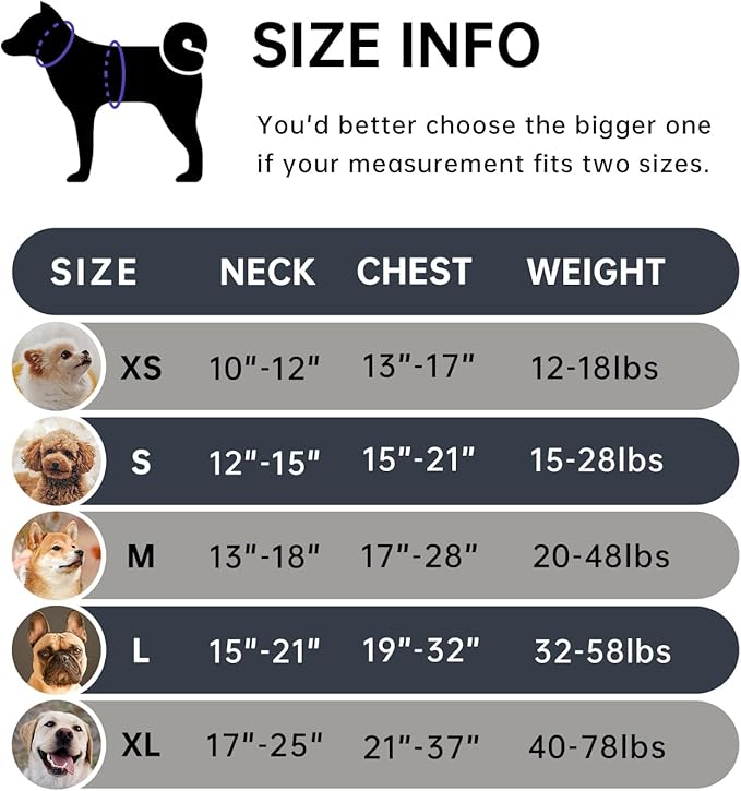 IVY&LANE No Pull Dog Harness for Large Dogs, Dog Vest Harness with Leash, Safety Belt and Storage Strap, Fully Adjustable Harness, 360° Reflective Strip, Soft Handle (Black, XL)-Mewly Pet