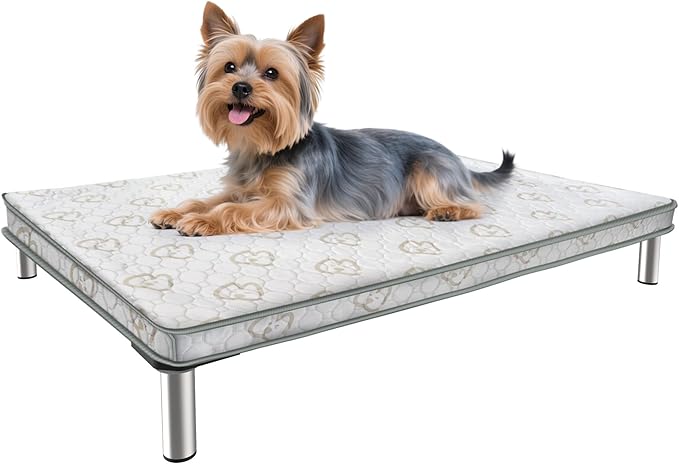 FXW TitanNest Chew-Proof Elevated Dog Bed, Raised Cot for Indoor/Outdoor/Camping Use, Durable & Washable Padded Pet Bed with Exclusive Reuseable Cover for Toy Dogs, 24.0" L x 20.0" W x 4.1" H, Gray-Mewly Pet