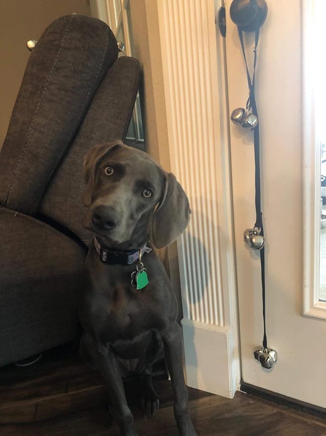 Dog Doorbells for Potty Training/Door Knob/Go Outside, Premium Quality Dog Bells, 7 Extra Large Loud 1.4 DoorBells, Adjustable Door Bell, Training Your Puppy The Easy Way-Mewly Pet