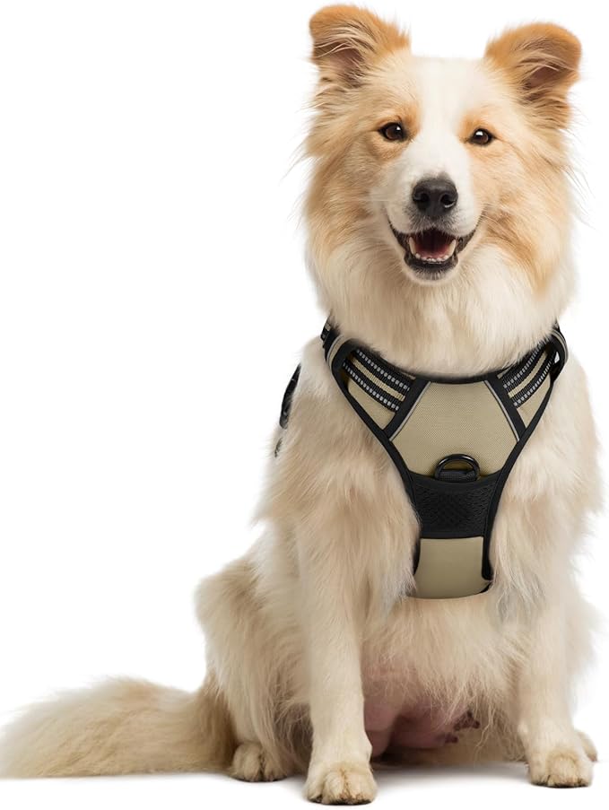 rabbitgoo Dog Harness No Pull with 2 Leash Clips, Adjustable Soft Padded, Reflective Oxford No Choke Pet Vest with Easy Control Handle for Medium Sized Dogs, Beige, M-Mewly Pet