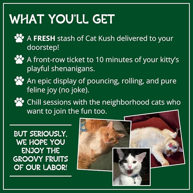 Organic Catnip by Cat Kush, Safe Premium Blend Perfect for Cats, Instilled with Maximized Potency your Kitty is Guaranteed to Go Crazy for! (1 Cup)-Mewly Pet