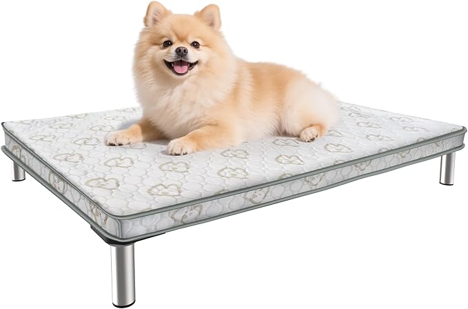 FXW TitanNest Chew-Proof Elevated Dog Bed, Raised Cot for Indoor/Outdoor/Camping Use, Durable & Washable Padded Pet Bed with Exclusive Cover for Extra-Small Dogs, 30.0" L x 22.0" W x 4.5" H, Gray-Mewly Pet