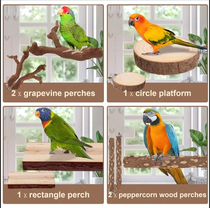 Parrot Perch Bird Perch Stand Set Natural Wild Wood Grape Sticks Paw Grinding Fork Parakeet Climbing Standing Branches Toys Cage Accessories for Conure,Cockatiels Lovebirds,Budgies Chewable 6PC-Mewly Pet