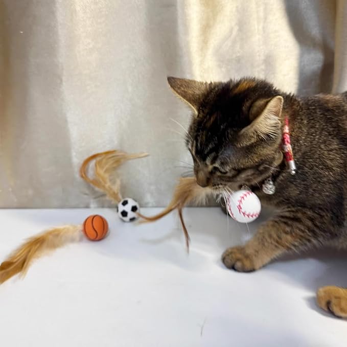 Cat Toy Balls, 5 PCS Colorful Feather Bouncy Balls for Cats No Noise Interactive Kitten Toys Cat Exercise Ball, Safe for Your Kitty (B)-Mewly Pet