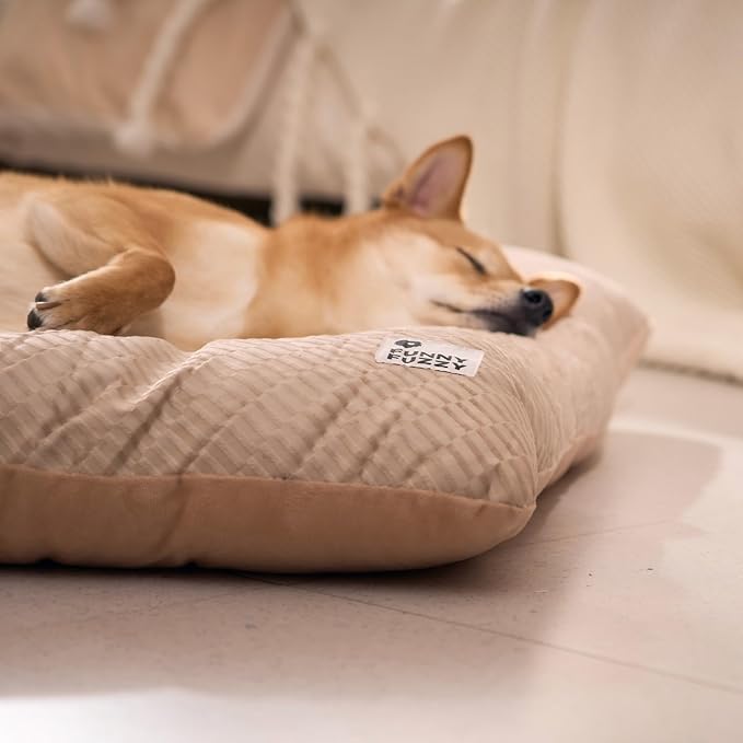 FUNNY FUZZY 2 in 1 Dog Crate Bed Pad for Large Sized Dog, Washable Reversible Pet Soft Mats,Durable Fluffy Kennel Mattress,Indoor Cats, 35" × 23", Beige-Mewly Pet