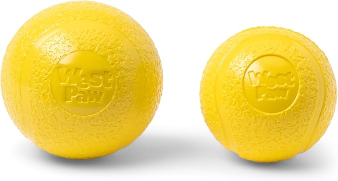 WEST PAW Boundr Ball Dog Fetch Toy – Bouncing Toys for Dogs, Fetch, Catch, Chewing, Play – Floatable, Recyclable Balls – Large Dandelion Yellow-Mewly Pet