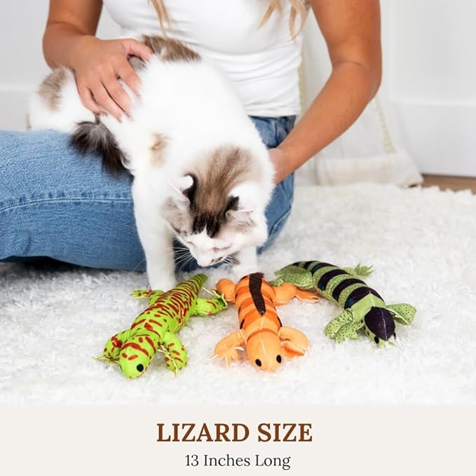 Cat Toy Snake Lizard Catnip Toys Chew Bite Resistant Toys for Indoor Cats Boredom Relief Teeth Cleaning Interactive Funny Cute Kitten Cat Lover Gifts Set of 6 Realistic Hunt Prey Activity Games-Mewly Pet