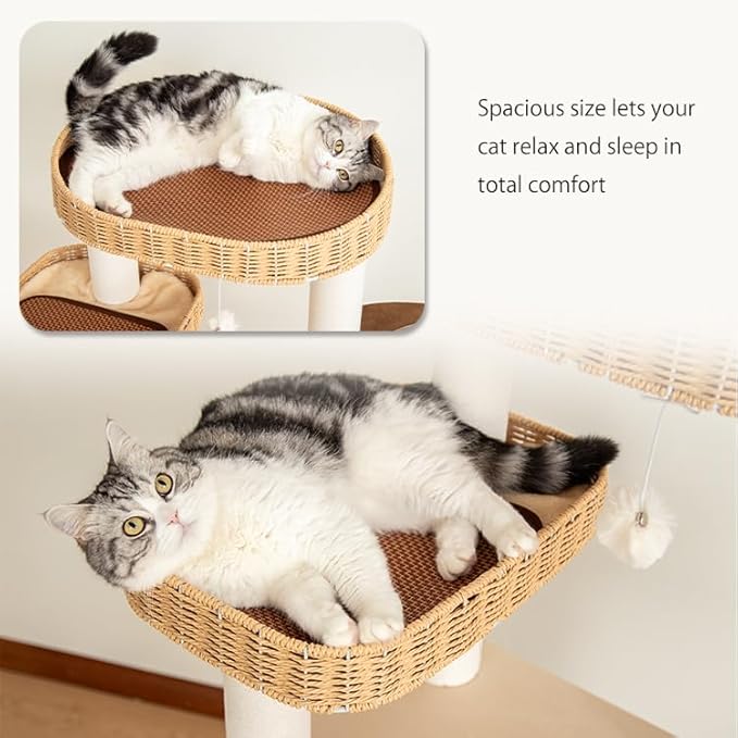 48'' Cat Tree for Large Cats, Modern Cat Tree Multi-Level Condo with Natural Wood, Cat Activity Centre for Medium and Big Pets-Mewly Pet