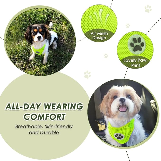 SlowTon Dog Seat Belt Harness for Car, Dog Car Harness Adjustable Mesh Breathable & Dog Seatbelt Safety Tether with Elastic Bungee for Small Medium Large Pets(Lime, Double Clip, XXS)-Mewly Pet
