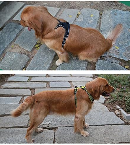 Truelove No Pull Dog Harness with Easy Control Handle and 2 Leash Attachments,Reflective Adjustable Pet Vest-Mewly Pet