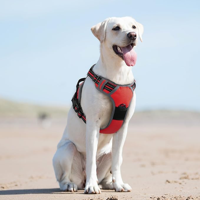 Eagloo Dog Harness for Large Dogs, No Pull Service Vest with Reflective Strips and Control Handle, Adjustable and Comfortable for Easy Walking, No Choke Pet Harness with 2 Metal Rings, Red, L-Mewly Pet