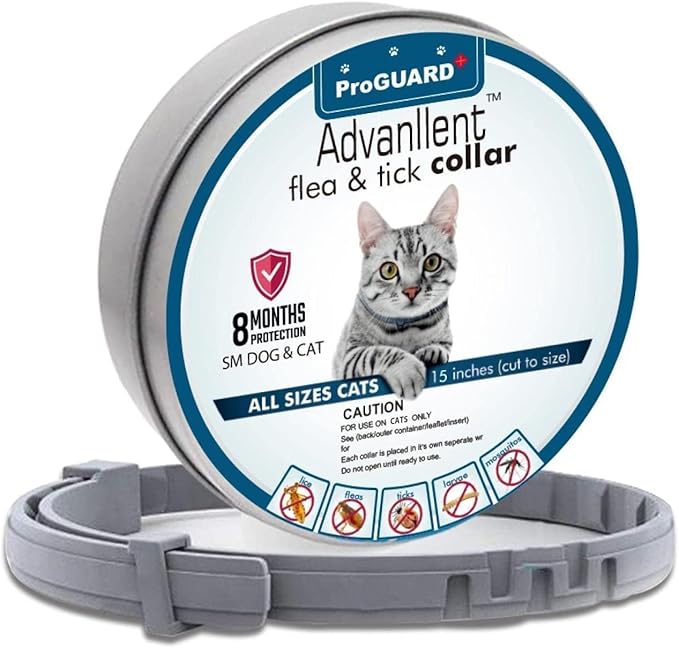 Flea Collar for Cats, Flea and Tick Collars for Cats and Kittens, 8 Month Protection, Gray, 1 Pack CAT-Mewly Pet