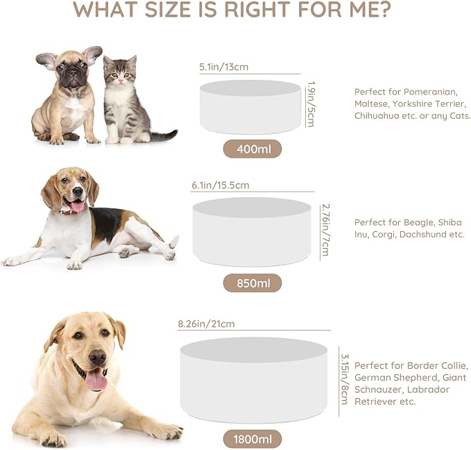 SPUNKYJUNKY Ceramic Dog and Cat Bowl Set with Wooden Stand, Modern Cute Weighted Food Water Set for Large Size Dogs (7.6 Cups, 2 × White)-Mewly Pet