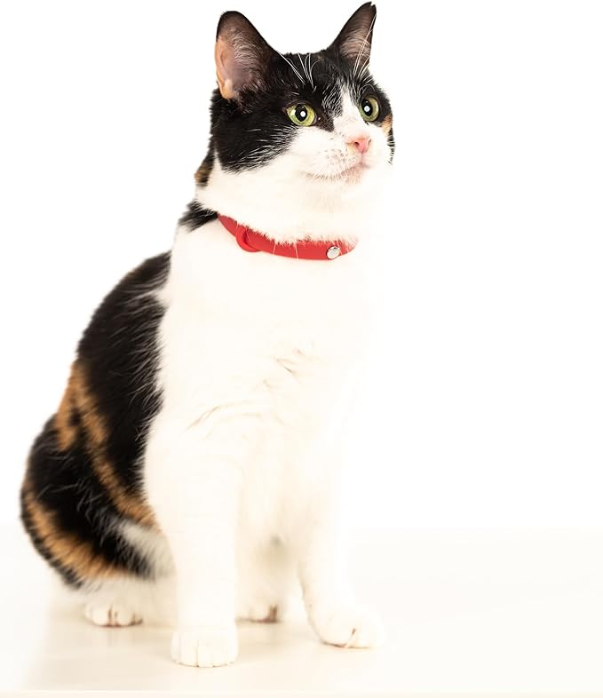 Red Cat Collar - Soft, Comfortable, and Lightweight Breakaway Collar with Name Tag Ring for Outdoor Cats and Sensitive Skin Kittens by Nuvuq (6 ⅞" to 10 ¼", Red)-Mewly Pet