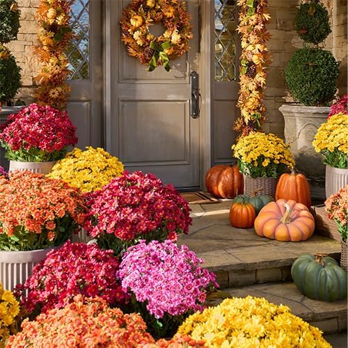 Artificial Mums for Outdoors, Faux Sunset Mum Flowers Planters for Indoor Outside Decor, Fake Look Real, Vibrant, UV Resistant, Waterproof, Windproof (Wine, 10 Bundle)