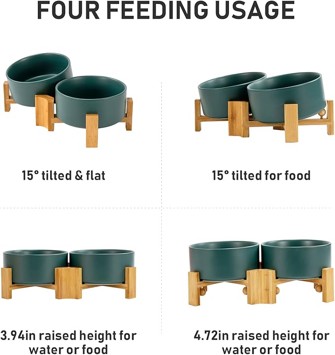 SPUNKYJUNKY 15° Slanted Ceramic Dog and Cat Bowl with Wooden Stand, Tilted Bulldog Food and Water Bowl No Slip Non-Spill for Cats Medium Dogs Big Face Pets 28.7 OZ (3.6 Cups, Green × 2)-Mewly Pet