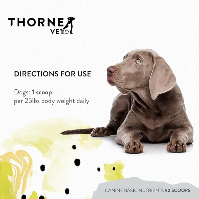 ThorneVet Canine Basic Nutrients Powder – Multivitamin Support for Dogs, 90 Scoops-Mewly Pet