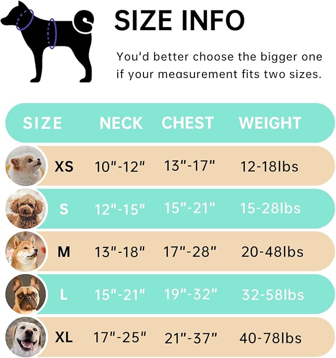 IVY&LANE No Pull Dog Harness with Leash Set, Reflective No Choke Pet Vest,Adjustable Oxford Dog Vest Harness with Easy Control Handle for Small Dogs (Turquoise,S)-Mewly Pet