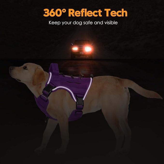 Heavy-Duty Tactical Dog Harness for Large Dogs, No Pull Adjustable Reflective Pet Vest with Molle System, K9 Military-Grade Control for Service Training, Outdoor & 10+ Breeds, Purple, Small-Mewly Pet