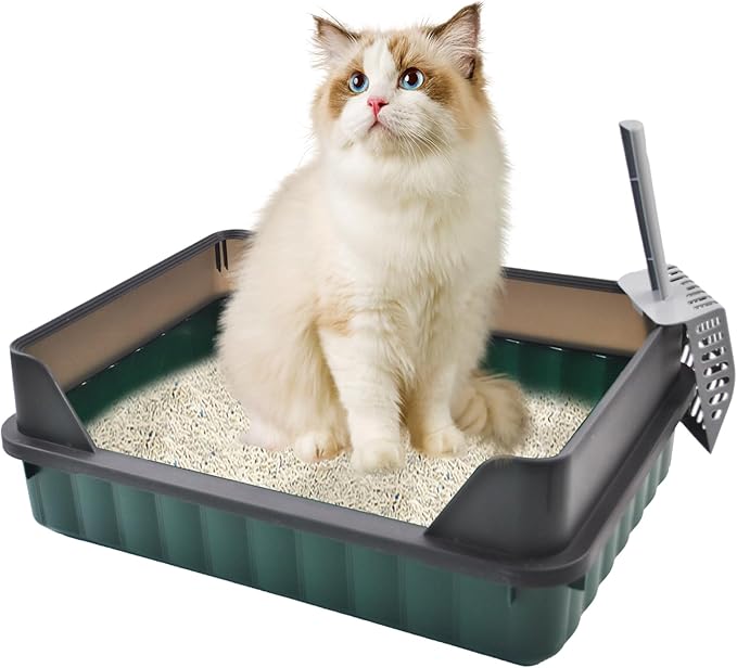 Cat Litter Boxes Large,Kitty Litter Box Low Entry High Sides,Semi Enclosed Front Entry Cat Pan Anti-Splashing Detachable Kitten Toilet with Scoop (Green)-Mewly Pet