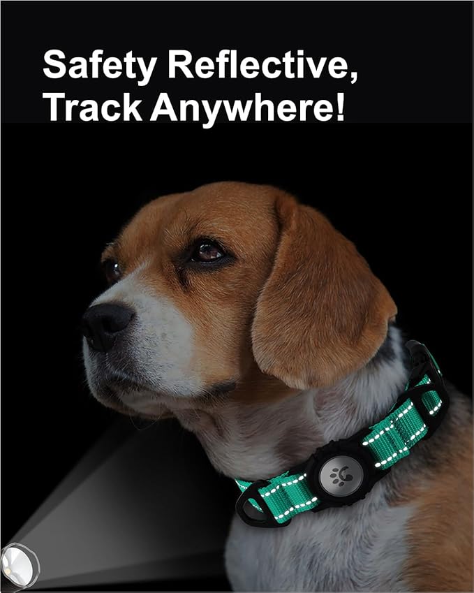 TagME Airtag Dog Collar,Waterproof Reflective Pet Collar with Airtag Holder,Soft Padded and Double D-Rings for Medium Dogs,Turquoise-Mewly Pet