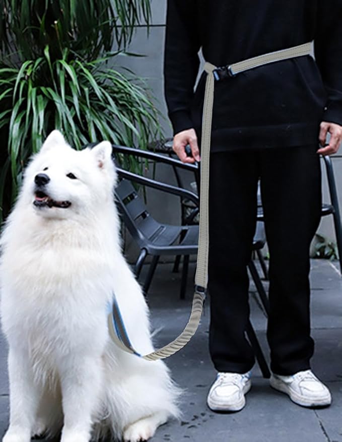 Hands Free Dog Leash for Large Medium Dogs Heavy Duty Bungee Reflective Adjustable Waist Leashes for Walking Running with Car Buckle 4-6FT (Grey)-Mewly Pet