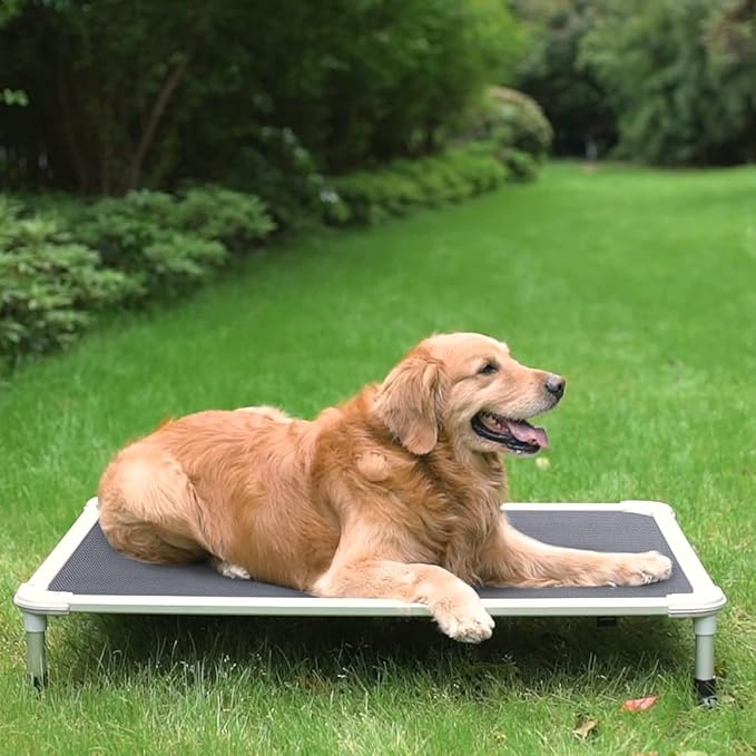 Veehoo Chew Proof Elevated Dog Bed - Cooling Raised Pet Cot - Silver Aluminum Frame and Durable Textilene Mesh Fabric, Unique Designed No-Slip Feet for Indoor or Outdoor Use, Grey, Large, CWC2003-Mewly Pet