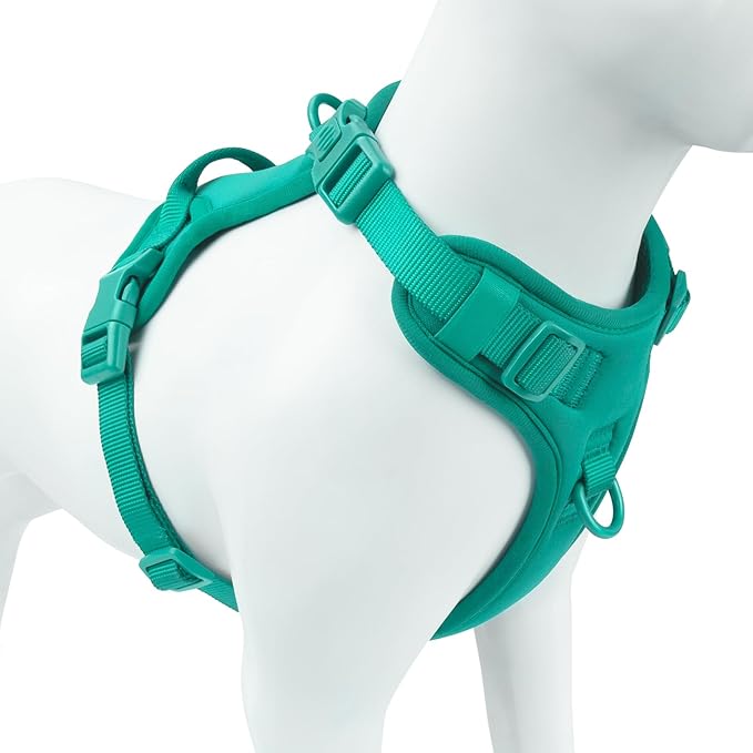 No Pull Dog Harness, Puppy Vest with Front Clip for Small Medium Large Sized Dog(MARRS Green,S)-Mewly Pet