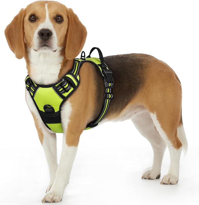 Eagloo Dog Harness Small Sized Dog, No Pull Service Vest with Reflective Strips and Control Handle, Adjustable and Comfortable for Walking, No Choke Pet Harness with 2 Metal Rings, Green, S-Mewly Pet