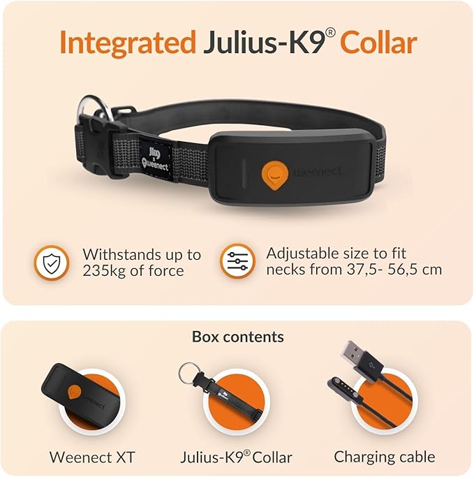 Weenect Dog XT - New GPS Collar for Dogs | XL Antenna | Waterproof | Ultra-Durable Integrated Julius-K9 Collar | Subscription Required-Mewly Pet