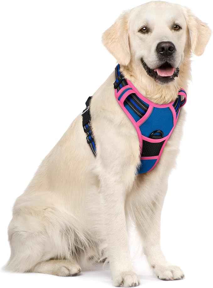 rabbitgoo Dog Harness No Pull with 2 Leash Clips, Adjustable Soft Padded, Reflective Oxford No Choke Pet Vest with Easy Control Handle for Large Dogs, Blue & Hot Pink, XL-Mewly Pet
