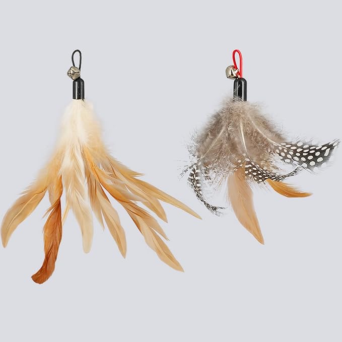 ROSAUI Cat Toy Refill Set – 6 Replacement Attachments for Teaser Wands, Includes 5 Feather Heads & 1 Lifelike Bird, Bell-Equipped, Interactive Accessories for Indoor Cats-Mewly Pet