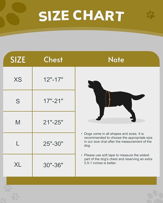 MIDOG No-Pull Dog Harness | Adjustable & Reflective Pet Harness Leash Set for Small Medium Large Dogs Walking, Training| No Choke, Front Clip, Soft Padded Vest with Easy Control Handle - Purple, L-Mewly Pet