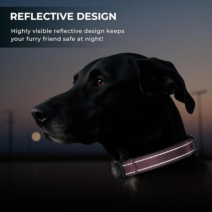 2025 Upgrade Airtag Dog Collar, Reflective Dog Collar with Airtag Holder, IP68 Waterproof| Metal Buckle| Ultra-Durable| Comfortable Padded, GPS Dog Collars for Medium Large Dogs (Pink,M)-Mewly Pet
