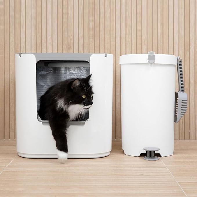 Modkat® XL Litter Box, Top or Front-Entry Configurable, Full Height Seamless Base, Reusable Litter Liners, Sifting Litter Scoop, 2X Bamboo Charcoal Filters - White-Mewly Pet