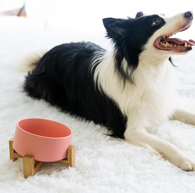 SPUNKYJUNKY 15° Slanted Ceramic Dog and Cat Bowl with Wooden Stand, Tilted Bulldog Food and Water Bowl No Slip Non-Spill for Cats Medium Dogs Big Face Pets 28.7 OZ (3.6 Cups,Pink)-Mewly Pet