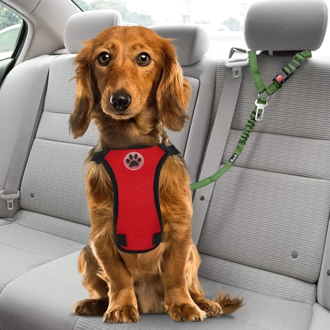 SlowTon Dog Seat Belt for Car, 2 Pack Dog Car Harness Seatbelt Adjustable with Elastic Bungee Buffer, 2 in 1 Pet Car Leash Headrest Restraint Dog Reflective Safety Tether (Green, Headrest+Clip)-Mewly Pet