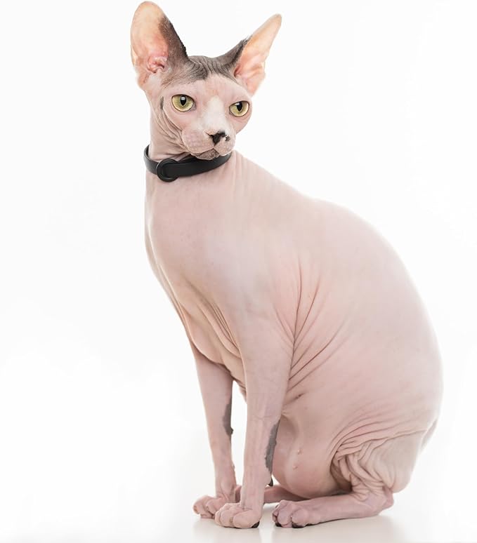 Black Cat Collar - Soft, Comfortable, and Lightweight Breakaway Collar with Name Tag Ring for Outdoor Cats and Sensitive Skin Pets by Nuvuq (6 ⅞" to 10 ¼", Black)-Mewly Pet