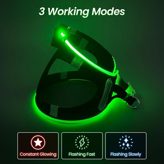 PceoTllar Light Up Dog Harness, LED No Pull Reflective Dog Harness, Flashing Lighted for Night Walking - Small/Medium, (Black Green,xs)-Mewly Pet