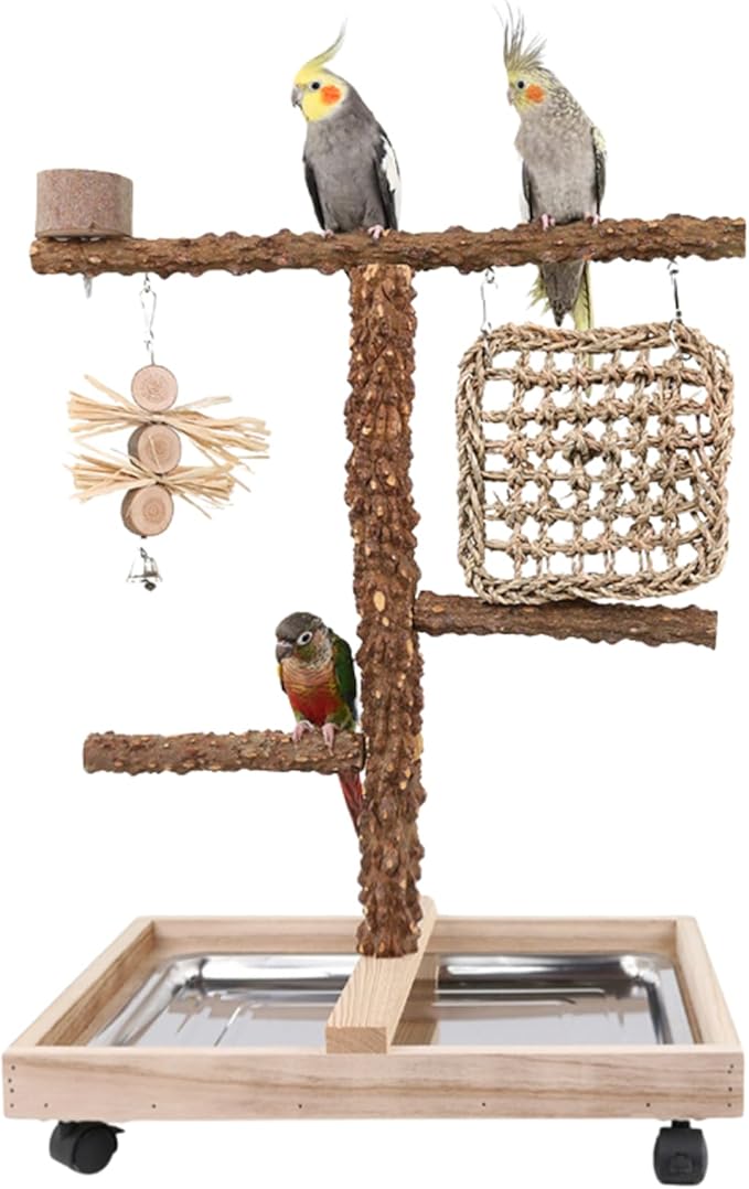 Natural Wood Parrot Stand - Ideal Toy & Accessory for Parakeets, Canaries, Cockatiels, Conure, Lovebirds - Bird Perch Stand with Removable Tray Climbing Net Chewing Toys- Perfect Pet Birds Playstand-Mewly Pet