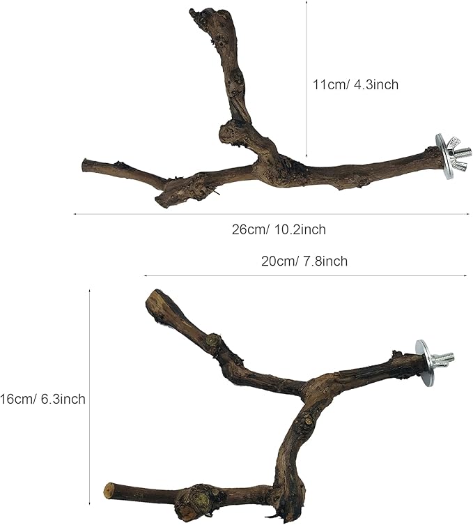 Allazone 4-Piece Bird Perch - Natural Grapevine Stick Swing Chewing Toys for Parrot Cages, Cockatiels, Parakeets, Finches-Mewly Pet