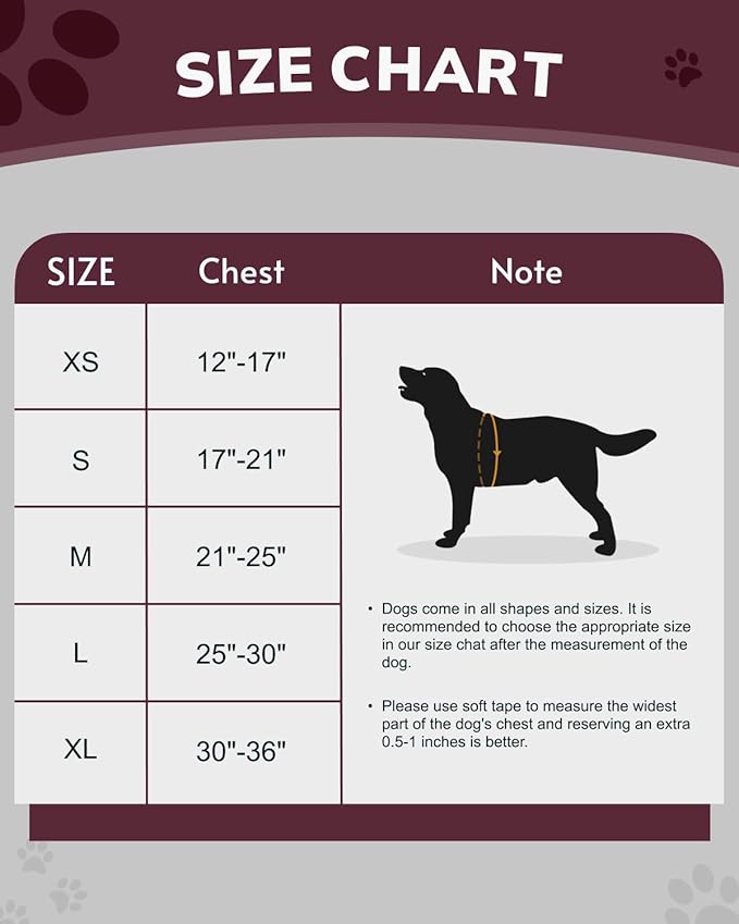 MIDOG No-Pull Dog Harness | Adjustable & Reflective Pet Harness Leash Set for Small Medium Large Dogs Walking, Training| No Choke, Front Clip, Soft Padded Vest with Easy Control Handle - Pink, XL-Mewly Pet