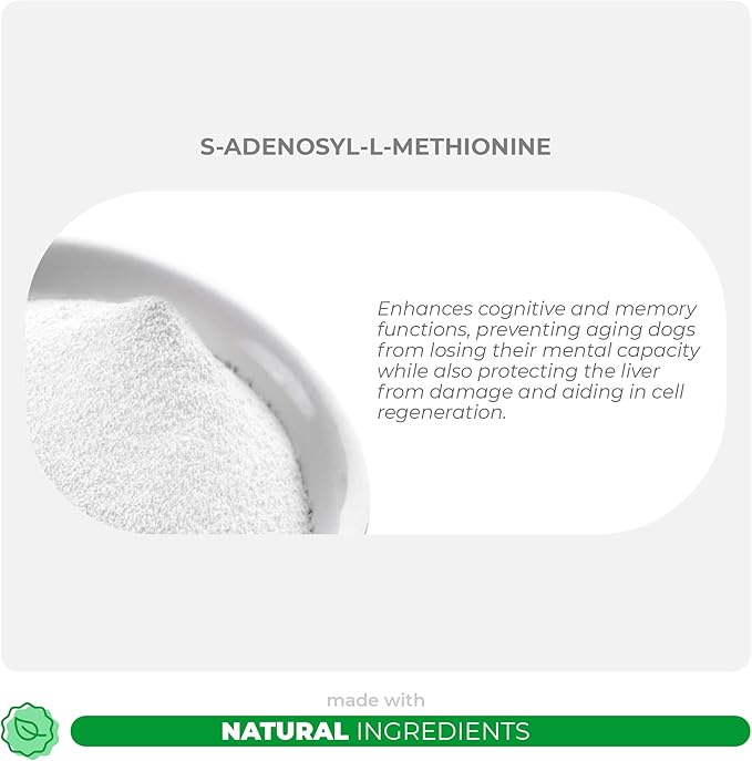 Same for Dogs - 120 Chewable Tablets - S-Adenosyl-L-Methionine, Liver Supplement - Brain Health, Promotes Cognitive Support, Liver Support-Mewly Pet