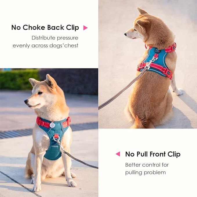 PHOEPET No Pull Dog Harness, Unique Colors Reflective Adjustable Dog Vest, with Soft Training Handle Metal Clips for Small Medium Large Dogs (Teal Base & Red Straps,XS)-Mewly Pet