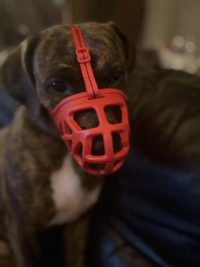 Mayerzon Dog Muzzle, Breathable Basket Muzzles for Small, Medium, Large and X-Large Aggressive Dogs Beagle German Shepherd Doberman, Cage Mouth Guard Stop Biting Chewing for Grooming Training-Mewly Pet