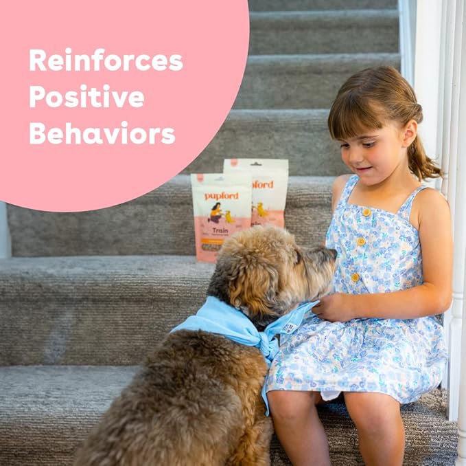 Pupford Soft & Chewy Training Treats for Dogs & Puppies (Chicken, 10 oz)-Mewly Pet