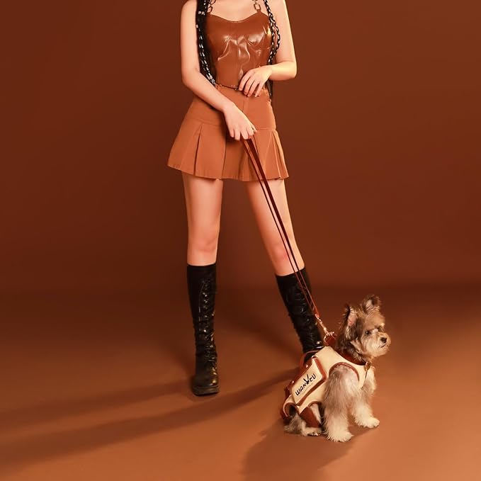 Dog Lift Harness Dog Carrier VES Harness Adjustable Leash with Small Puppy Treat Bag,Fits Most Cars,M-Mewly Pet