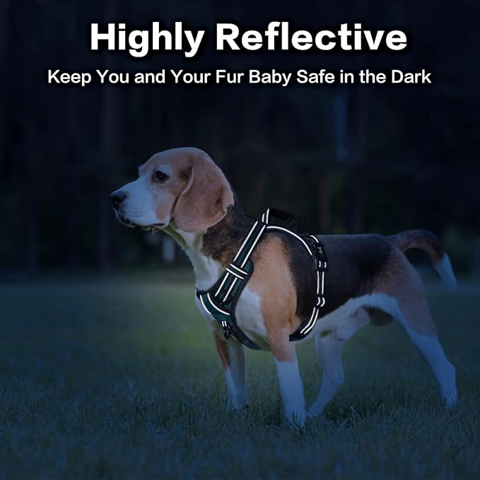 PoyPet No Pull Dog Harness, No Choke Front Clip Reflective Dog Vest with Soft Padded Vertical Handle, 3 Leash Attachments for Small Medium Large Dogs (Tumalo Teal,M)-Mewly Pet