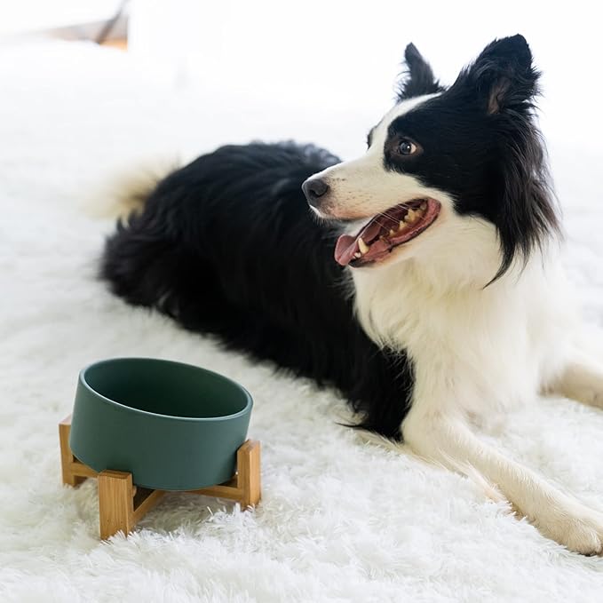 SPUNKYJUNKY 15° Slanted Ceramic Dog and Cat Bowl with Wooden Stand, Tilted Bulldog Food and Water Bowl No Slip Non-Spill for Cats Medium Dogs Big Face Pets 28.7 OZ (3.6 Cups, Green)-Mewly Pet