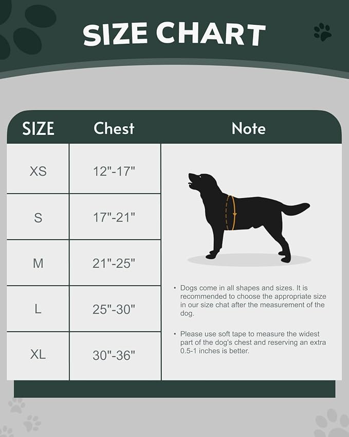 MIDOG No-Pull Dog Harness | Adjustable & Reflective Pet Harness Leash Set for Small Medium Large Dogs Walking, Training| No Choke, Front Clip, Soft Padded Vest with Easy Control Handle - Green, XL-Mewly Pet